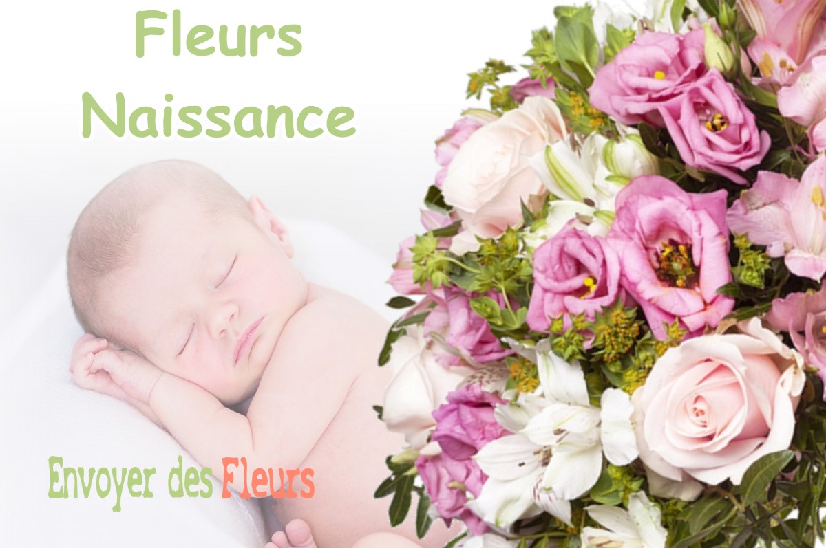 lIVRAISON FLEURS NAISSANCE à BOURG-DE-SIROD